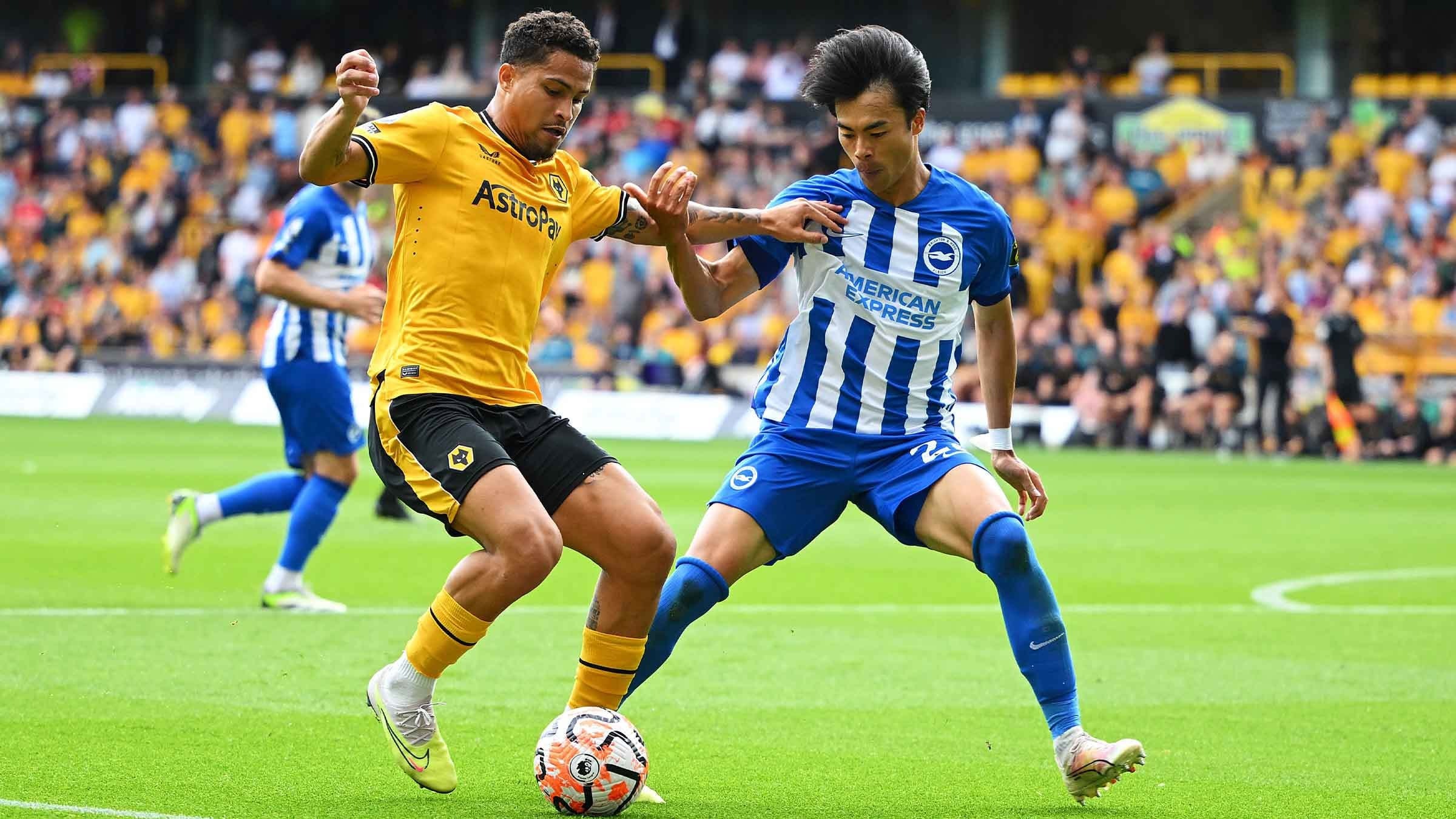 Nhận định soi kèo Wolves vs Brighton lúc 20h00 ngày 5/10/2025